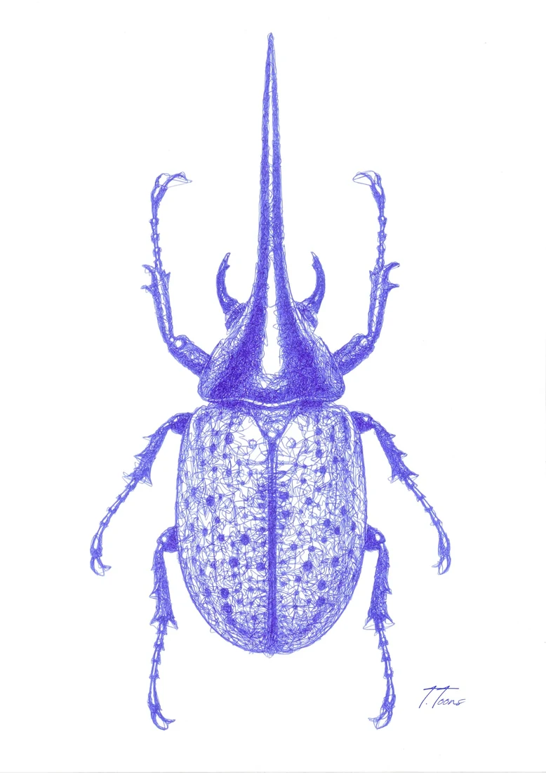 A long-horned beetle drawn in blue ballpoint pen.